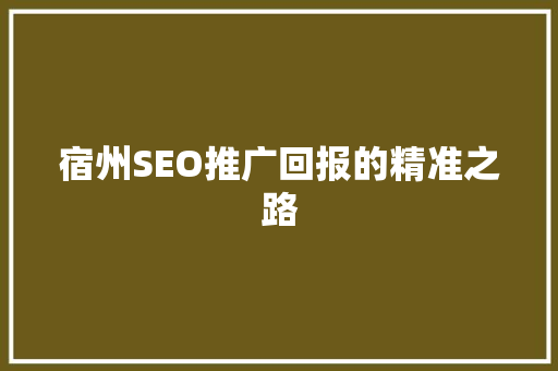宿州SEO推广回报的精准之路