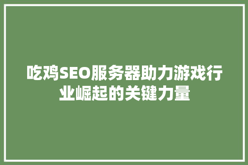 吃鸡SEO服务器助力游戏行业崛起的关键力量