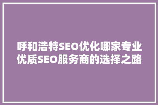 呼和浩特SEO优化哪家专业优质SEO服务商的选择之路