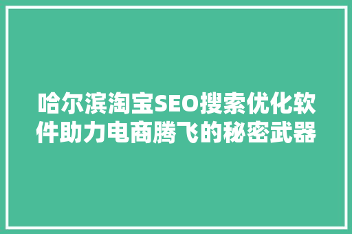 哈尔滨淘宝SEO搜索优化软件助力电商腾飞的秘密武器