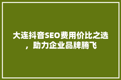 大连抖音SEO费用价比之选，助力企业品牌腾飞