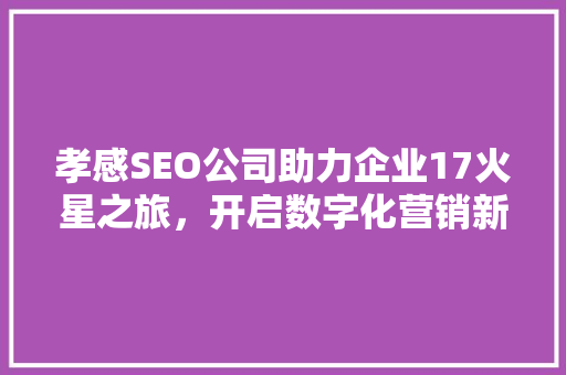 孝感SEO公司助力企业17火星之旅，开启数字化营销新时代