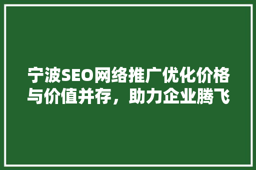宁波SEO网络推广优化价格与价值并存，助力企业腾飞