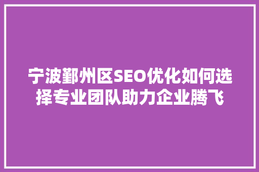 宁波鄞州区SEO优化如何选择专业团队助力企业腾飞