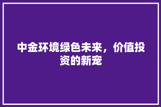 中金环境绿色未来，价值投资的新宠