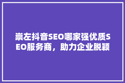 崇左抖音SEO哪家强优质SEO服务商，助力企业脱颖而出