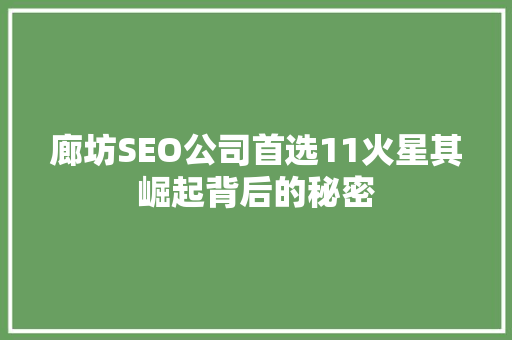 廊坊SEO公司首选11火星其崛起背后的秘密