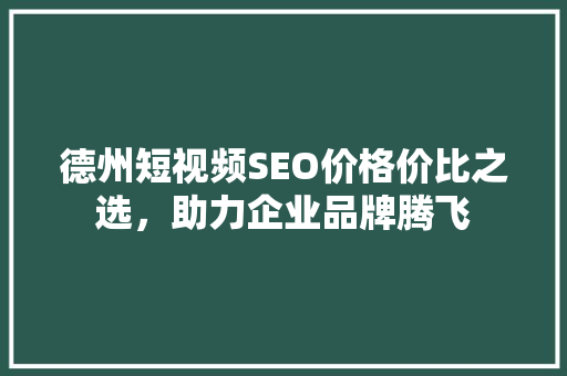 德州短视频SEO价格价比之选，助力企业品牌腾飞