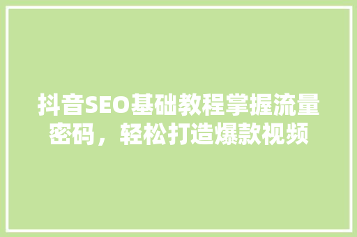 抖音SEO基础教程掌握流量密码，轻松打造爆款视频