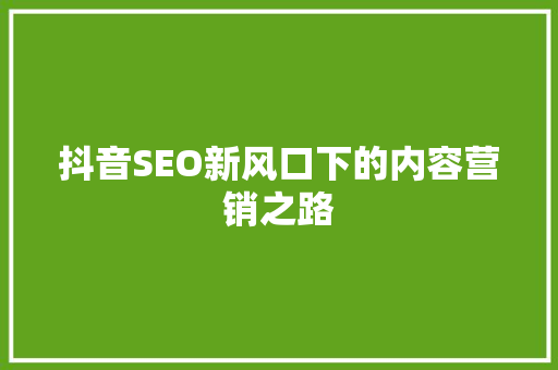抖音SEO新风口下的内容营销之路
