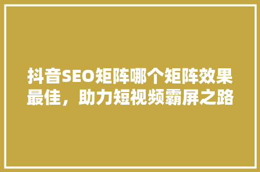 抖音SEO矩阵哪个矩阵效果最佳，助力短视频霸屏之路  第1张