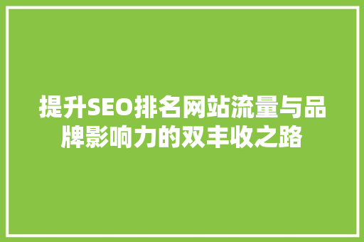 提升SEO排名网站流量与品牌影响力的双丰收之路