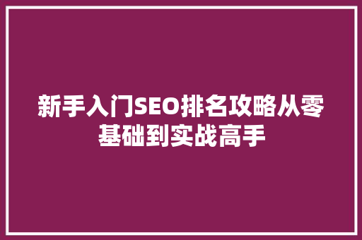新手入门SEO排名攻略从零基础到实战高手