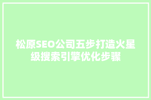 松原SEO公司五步打造火星级搜索引擎优化步骤