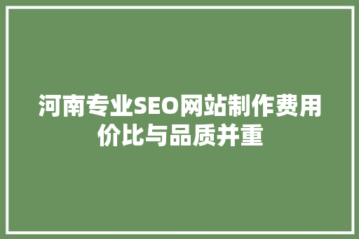 河南专业SEO网站制作费用价比与品质并重