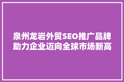 泉州龙岩外贸SEO推广品牌助力企业迈向全球市场新高度