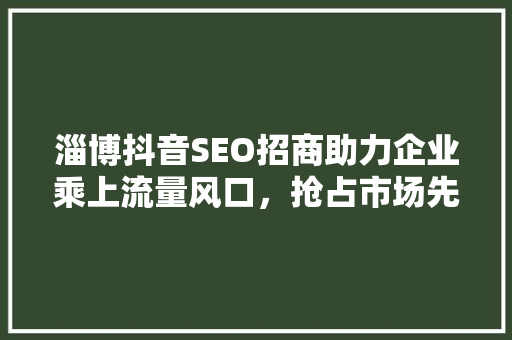 淄博抖音SEO招商助力企业乘上流量风口，抢占市场先机