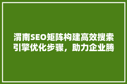 渭南SEO矩阵构建高效搜索引擎优化步骤，助力企业腾飞