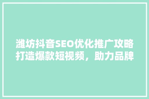 潍坊抖音SEO优化推广攻略打造爆款短视频，助力品牌腾飞  第1张