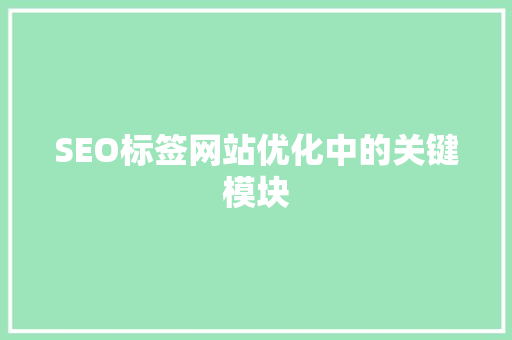 SEO标签网站优化中的关键模块