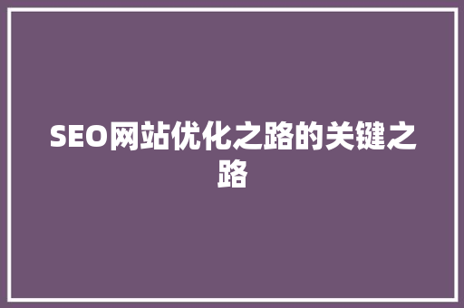 SEO网站优化之路的关键之路