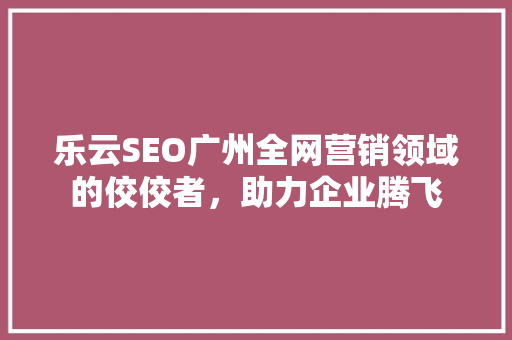 乐云SEO广州全网营销领域的佼佼者，助力企业腾飞