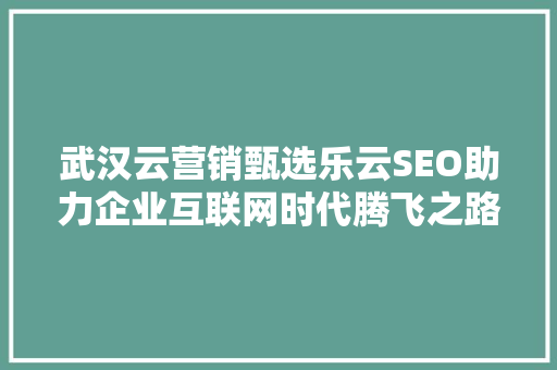 武汉云营销甄选乐云SEO助力企业互联网时代腾飞之路
