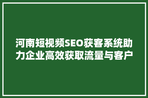 河南短视频SEO获客系统助力企业高效获取流量与客户