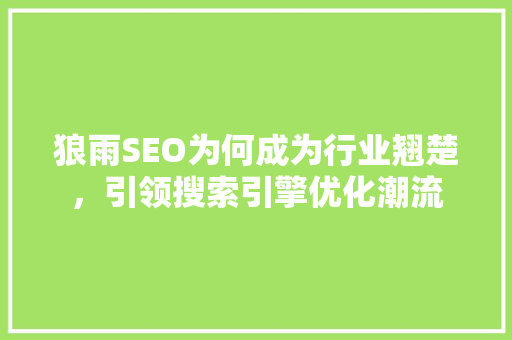 狼雨SEO为何成为行业翘楚，引领搜索引擎优化潮流