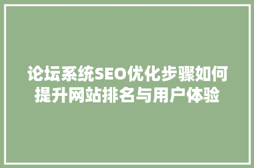 论坛系统SEO优化步骤如何提升网站排名与用户体验  第1张