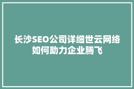 长沙SEO公司详细世云网络如何助力企业腾飞