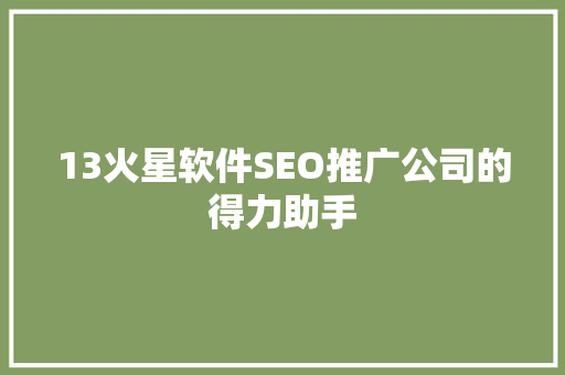 13火星软件SEO推广公司的得力助手