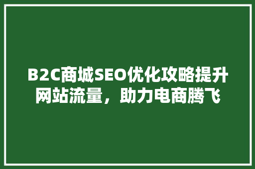 B2C商城SEO优化攻略提升网站流量，助力电商腾飞
