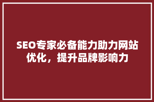 SEO专家必备能力助力网站优化，提升品牌影响力