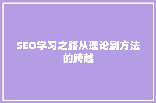 SEO学习之路从理论到方法的跨越