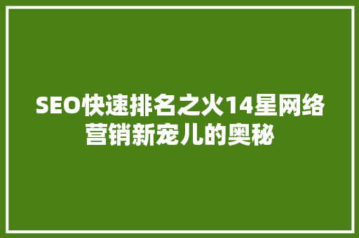 SEO快速排名之火14星网络营销新宠儿的奥秘  第1张