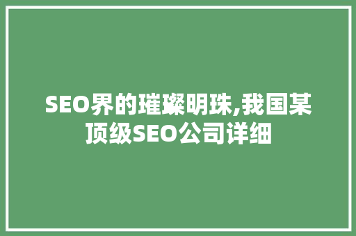 SEO界的璀璨明珠,我国某顶级SEO公司详细