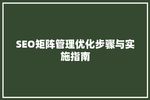 SEO矩阵管理优化步骤与实施指南