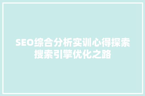 SEO综合分析实训心得探索搜索引擎优化之路