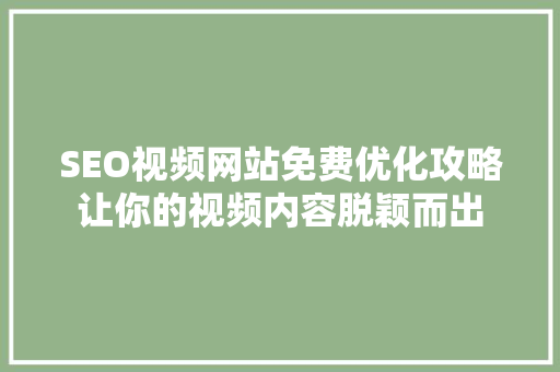 SEO视频网站免费优化攻略让你的视频内容脱颖而出  第1张