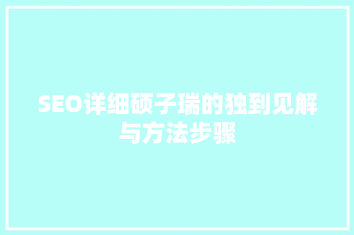 SEO详细硕子瑞的独到见解与方法步骤