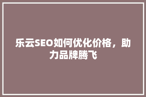 乐云SEO如何优化价格，助力品牌腾飞