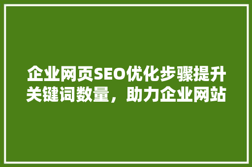 企业网页SEO优化步骤提升关键词数量，助力企业网站流量翻倍