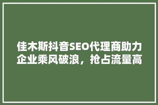 佳木斯抖音SEO代理商助力企业乘风破浪，抢占流量高地