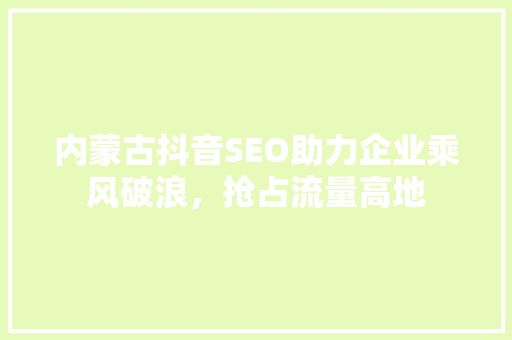 内蒙古抖音SEO助力企业乘风破浪，抢占流量高地  第1张
