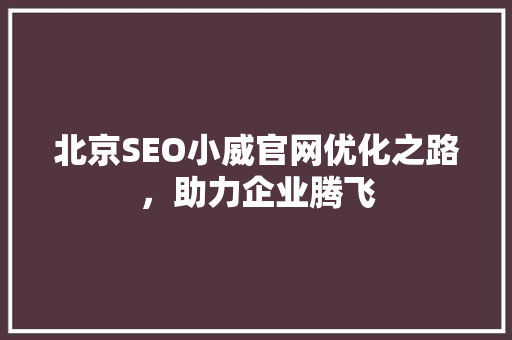 北京SEO小威官网优化之路，助力企业腾飞  第1张