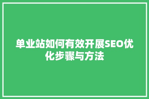 单业站如何有效开展SEO优化步骤与方法