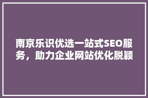 南京乐识优选一站式SEO服务，助力企业网站优化脱颖而出