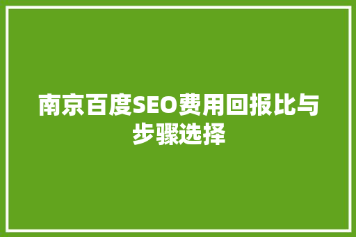 南京百度SEO费用回报比与步骤选择