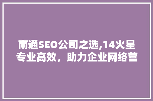南通SEO公司之选,14火星专业高效，助力企业网络营销腾飞
